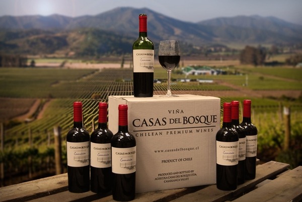 Hương vị rượu vang Chile nhập khẩu cao cấp