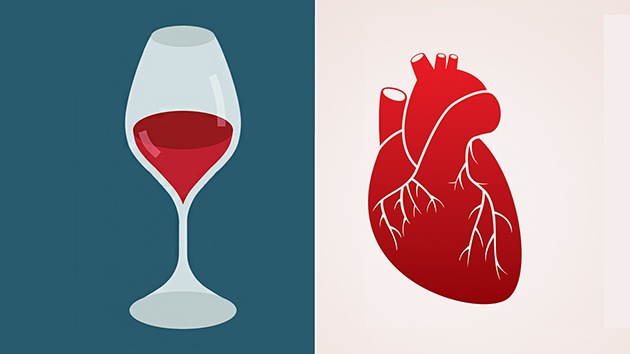 Rượu vang rất tốt cho tim mạch